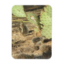 Recherche de écureuils magnets Pour eux