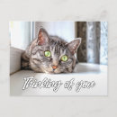 Recherche de compagnie cartes postales Tu me manques
