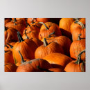 Recherche de citrouille posters Orange