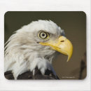 Recherche de parties du corps tapis souris Photographie