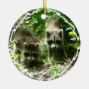 Zoek naar wasbeer ornamenten Wasberen