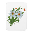 Recherche de narcisse magnets Floral