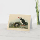 Recherche de macareux vœux cartes Illustration