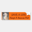 Recherche de aspca Délivrance