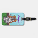 Recherche de st bernard accessoires Chiens