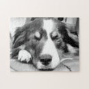 Recherche de colley puzzles Collie bore