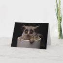 Recherche de singes mignons vœux cartes Zoo
