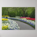 Zoek naar narcissen posters Natuur