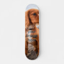 Recherche de domestique skateboards Famille