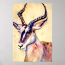 Recherche de antilope posters Impala