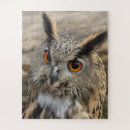 Zoek naar roofvogels puzzels Oehoe