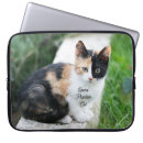 Recherche de cat électronique Drôle