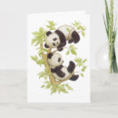 Zoek naar panda draagt kaarten Panda's