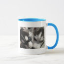 Recherche de traîneau tasses Mignon