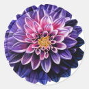 Recherche de présentateur autocollants Violet