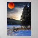 Recherche de loup et lac posters Pour tous