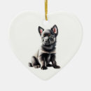 Recherche de schipperke maison deco Dog