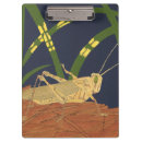 Recherche de herbe porte blocs Moderne