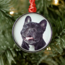 Recherche de french bulldog ornements Animaux domestiques