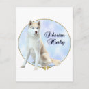 Recherche de husky cartes postales Amoureux des chiens