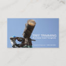 Recherche de trimmer cartes visite Arbres