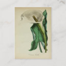 Recherche de calla cartes visite Botanique