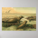 Zoek naar marien dier posters Strand