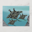 Recherche de manta ray posters Vie marine