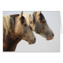 Recherche de troupeau de cheval cartes postales Pinto