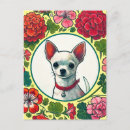 Recherche de chihhuahua cartes postales Fleurs