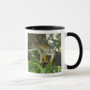 Recherche de amazonie tasses Faune