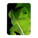 Recherche de rabat magnets Vert