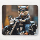 Recherche de plaisirs électronique Chat