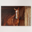 Zoek naar bruine paarden puzzels Hengst