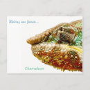 Recherche de lézard vert cartes postales Caméléon