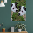 Recherche de taureau noir posters Chiot