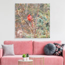 Recherche de cardinal rouge toiles Faune