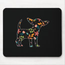 Recherche de race tapis souris Race de chien