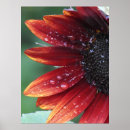Recherche de tournesol rouge art Fleur