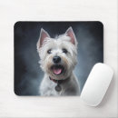 Recherche de westies tapis souris Chiot