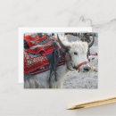 Recherche de himalaya cartes postales Inde