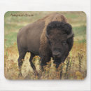 Recherche de bison tapis souris Nature
