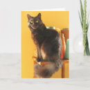 Recherche de une tricoteuse anniversaire cartes Chat