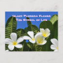 Recherche de fleurs hawaïennes cartes postales Floral