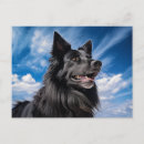 Recherche de berge cartes postales Gsd