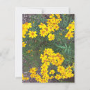 Recherche de naturelle cartes postales Fleur sauvage