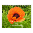 Recherche de fleurs calendriers Jardin