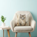 Recherche de maine coon coussins Aquarelle
