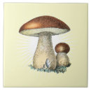 Recherche de tabouret carreaux Botanique