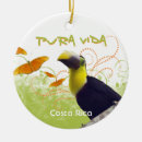 Recherche de toucan ornements Jungle